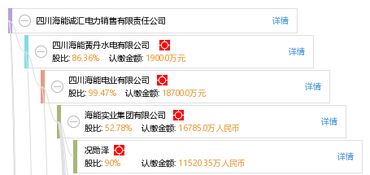 四川海能诚汇电力销售有限责任公司