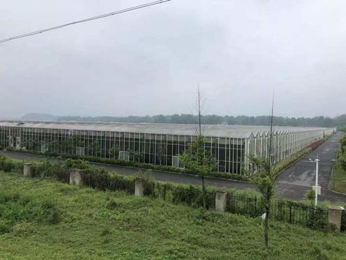 安徽御草源中药材种植公司 标准引领,诚信至上