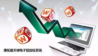 行业风口,康拓普助招标代理机构抢滩电子招投标